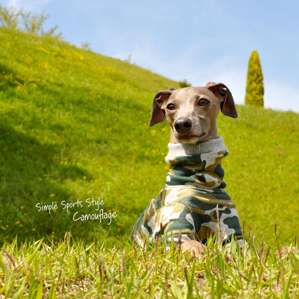犬服｜Simple Sports Style Camouflage（迷彩）｜裏毛パイルプリント｜選べる４タイプ×３カラー（blue&white/green&gray/brown&gray）